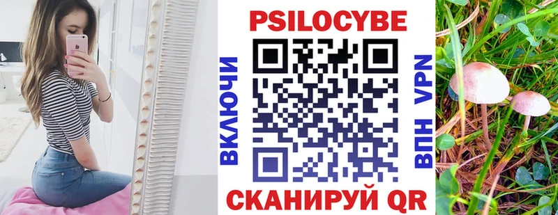 Галлюциногенные грибы Magic Shrooms  магазин продажи   мега как зайти  Трёхгорный 